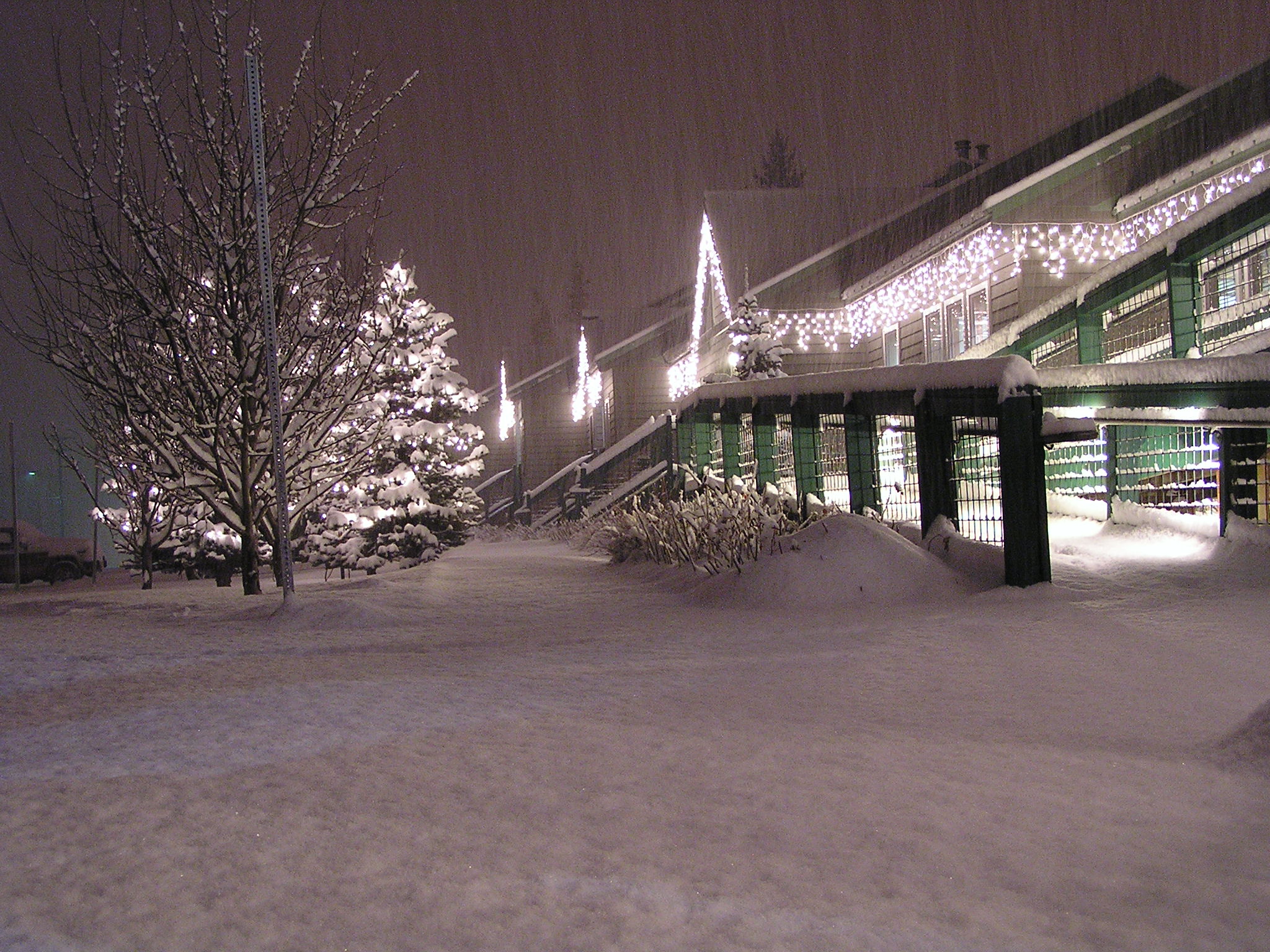 Resort Snowed In with lights